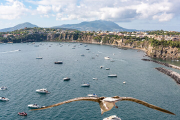 beautiful view of the island of Procida