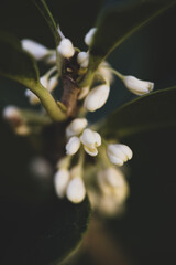 Reencuentro en el jardín