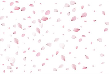 Sakura petals background. Cherry petals