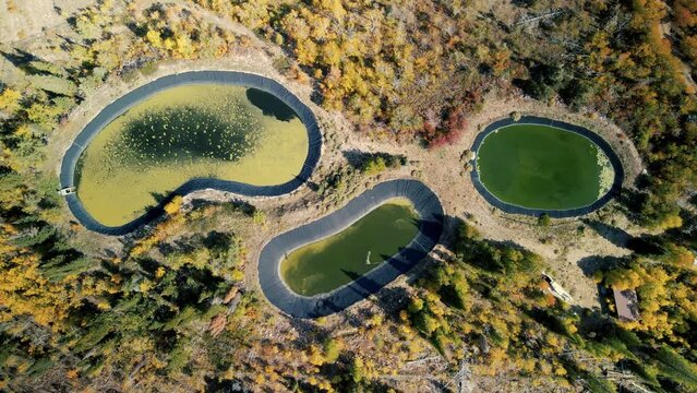 Aerial view of three ponds with algae in Uinta Wasatch Cache National Forest during autumn time