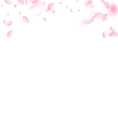 Sakura petals falling down. Romantic pink flowers gradient. Flying petals on white square background. Love, romance concept. Alluring wedding invitation.