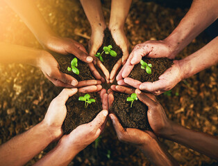 Were all responsible for a better tomorrow. Closeup shot of a group of unrecognizable people holding plants growing out of soil. - obrazy, fototapety, plakaty