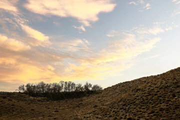 sunset in the mountains
Sunset with trees 