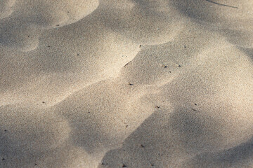 Fototapeta na wymiar sand on the beach, sand with small wind dunes close-up