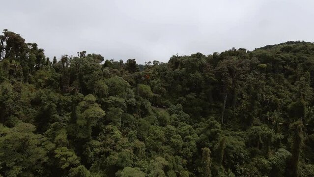 Cerro Pando Jurutungo