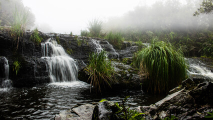waterfall in the forest