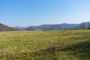 Situated about 40 minutes from Basel and Bienne, Delémont, the capital of the canton of Jura, and the surrounding region boast of having the warmest summer in the Jura. From the meadows to the foothil