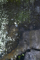 Old concrete wall with mold spores texture