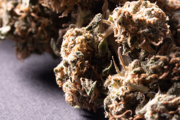 Cannabis buds closeup view. Hemp and Marijuana. Dry Weed buds