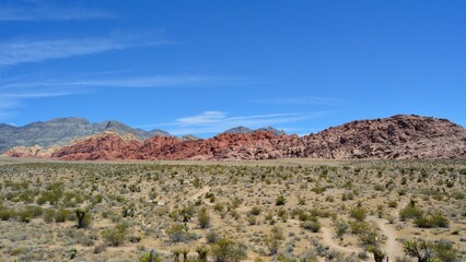 Fototapeta na wymiar state desert landscape