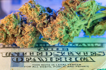 Cannabis Hemp on top of one hundred Dollar Banknote. Cash and Drugs, purchasing Weed
