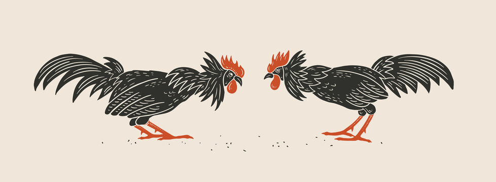 Two fighting black roosters look at each other. Domestic birds on a light isolated background. Can be used for your design. Vector illustration.