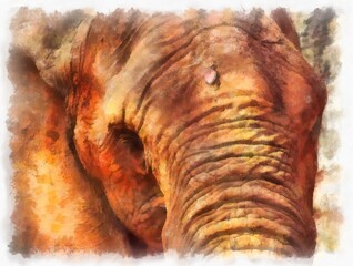 elephant head watercolor style illustration impressionist painting.