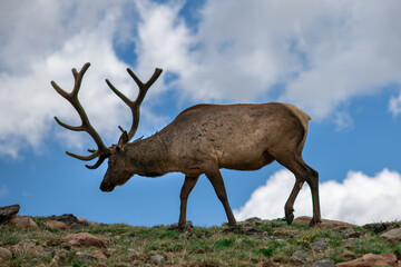 rocky mountain national park