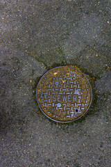 Sewer manhole cover surrounded by cement featuring green vegetation.