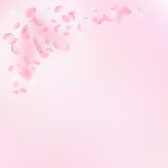 Sakura petals falling down. Romantic pink flowers corner. Flying petals on pink square background. Love, romance concept. Cute wedding invitation.
