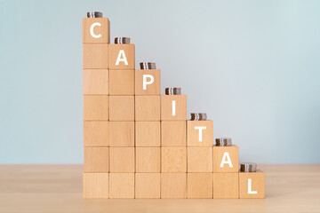 「CAPITAL」と書かれた積み木とコイン