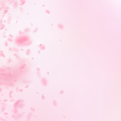 Sakura petals falling down. Romantic pink flowers gradient. Flying petals on pink square background. Love, romance concept. Actual wedding invitation.
