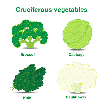 Collection of cruciferous vegetables on a white background