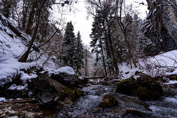 Stream in the mountains during winter