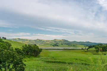 Summer landscape. A valley among green hills with rare trees and a lake that can be seen at the horizon.