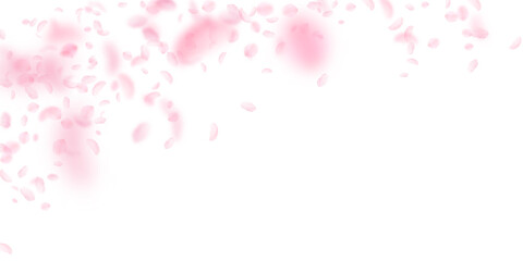 Obraz na płótnie Canvas Sakura petals falling down. Romantic pink flowers falling rain. Flying petals on white wide background. Love, romance concept. Neat wedding invitation.
