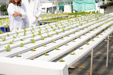 Hydroponics, two Asian scientists, tested the standards and collected chemical data of the organic vegetables grown using hydroponics in the nursery