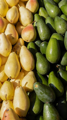 Pear and avocado photo vertical. green and yellow