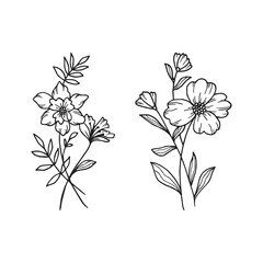 Hand drawn vector design floral elements