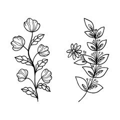 Hand drawn vector design floral elements
