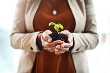 Business is booming. Shot of an unrecognizable businesswoman holding a plant growing out of soil in her office.