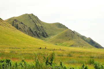Smooth rows of rock formations running along the slope and top of a high mountain.