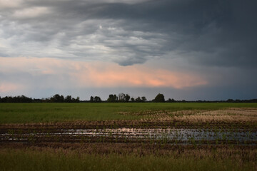 storm clouds at sunset in field