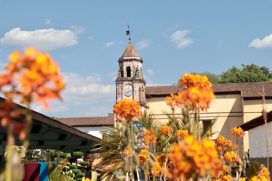 Flores y cantera