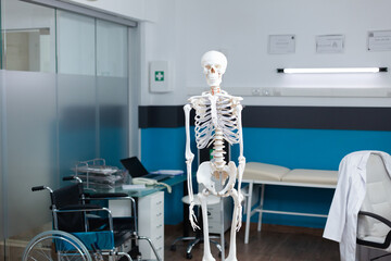 Empty medical office having human body skeleton used as professional tools during osteopathy examination. Front view of anatomical model standing in hospital room with nobody in it. Medicine concept