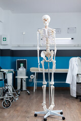 Empty doctor office having human body skeleton used as medical instrument during osteopathy...