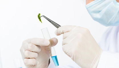 Scientist puts sample into test tube