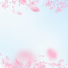 Obraz na płótnie Canvas Sakura petals falling down. Romantic pink flowers borders. Flying petals on blue sky square background. Love, romance concept. Majestic wedding invitation.