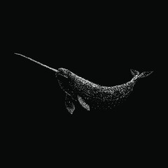 narwhal illustration isolated on black background © tya studio