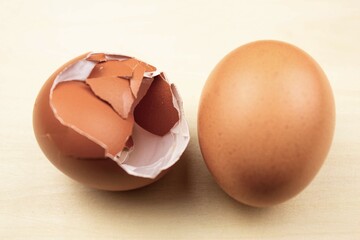 Egg shell. Broken egg shell. Crush the egg shell.