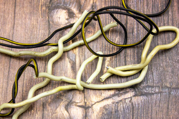 Wire. Old wire coil of wire. Steel wire.Wire cuts. Household wire.