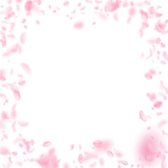 Sakura petals falling down. Romantic pink flowers frame. Flying petals on white square background. Love, romance concept. Positive wedding invitation.
