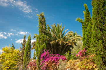 Botanical garden in Alaçatı, Izmir, Turkey 