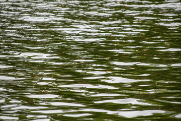 城の石垣と堀の水面
