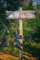 wooden cross in the forest