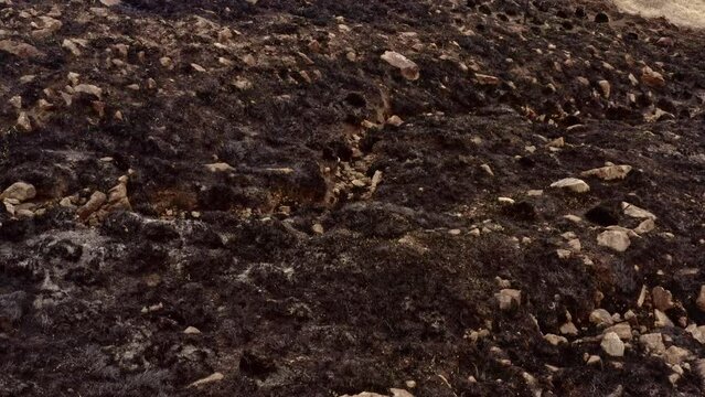 Effect of climate changes on hills after a fire left land destroyed