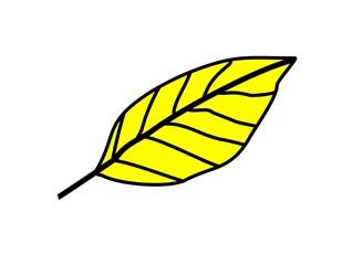 yellow leaf isolated