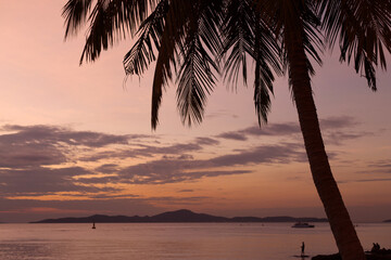 Naklejka na ściany i meble Silhouette coconut palm tree on sunset sky background