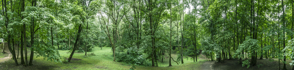 Fototapeta na wymiar amazing nature landscape with green trees in public park at cloudy summer day. aerial panoramic view.