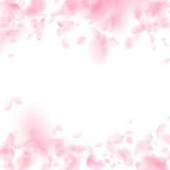 Naklejka na ściany i meble Sakura petals falling down. Romantic pink flowers falling rain. Flying petals on white square background. Love, romance concept. Lively wedding invitation.